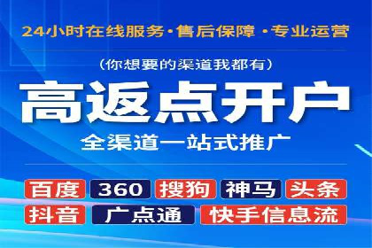 成功SEM托管代运营案例分析
